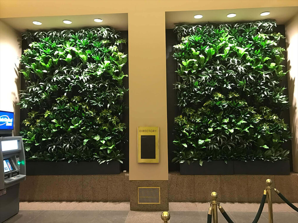 دیوار سبز طبیعی
